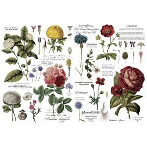 PRIMA DECOR TRANSFER®  VINTAGE BOTANI –  SHEET SIZE 48″X3, CUT INTO 6 SHEETS~DIY